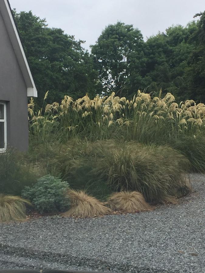The Wendy Hoose Nairn Exterior foto